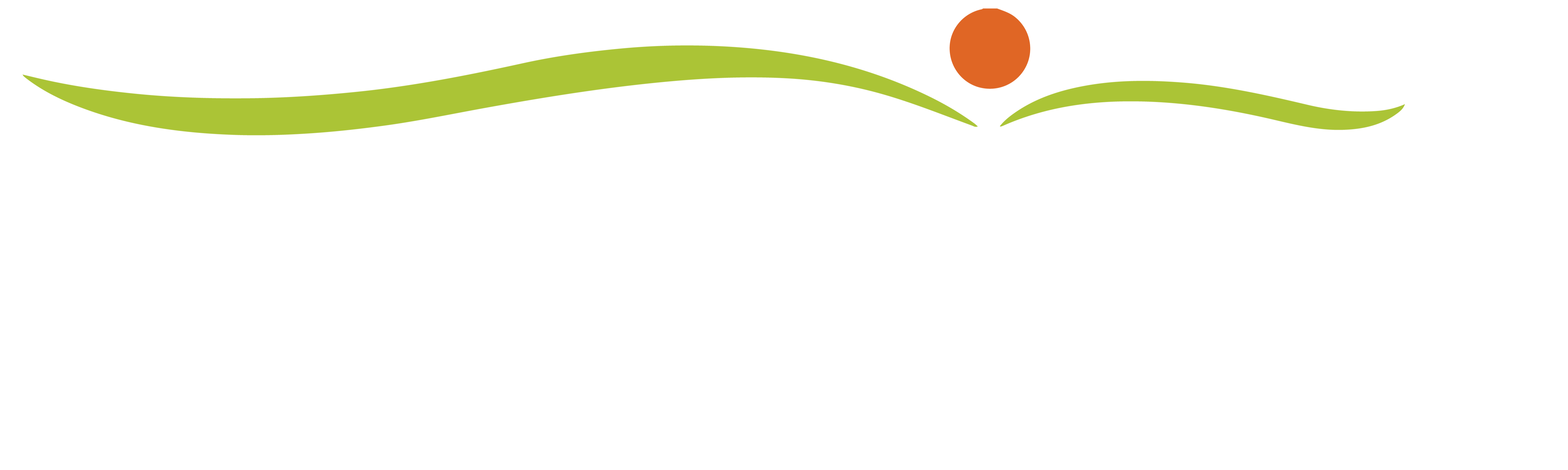 Hover Logo